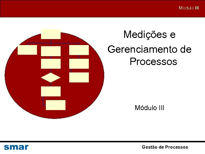 Modulo III Medições e Gerenciamento de Processos Módulo III Gestão de Processos 