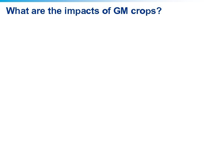 What are the impacts of GM crops? 
