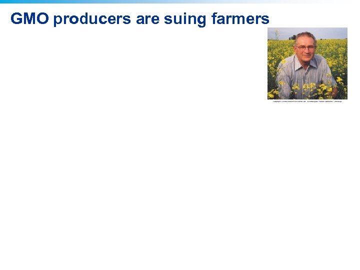 GMO producers are suing farmers 