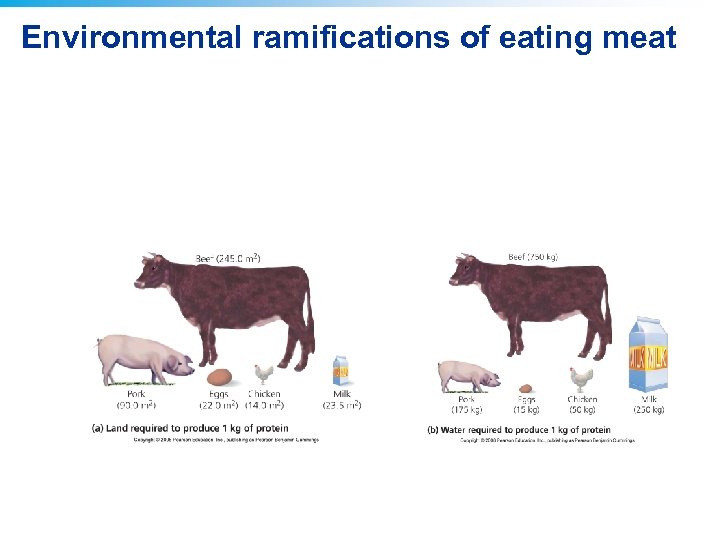 Environmental ramifications of eating meat 