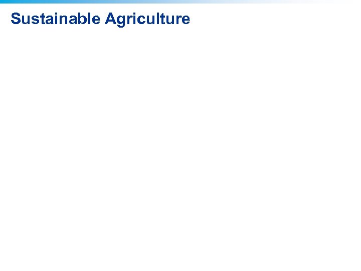 Sustainable Agriculture 
