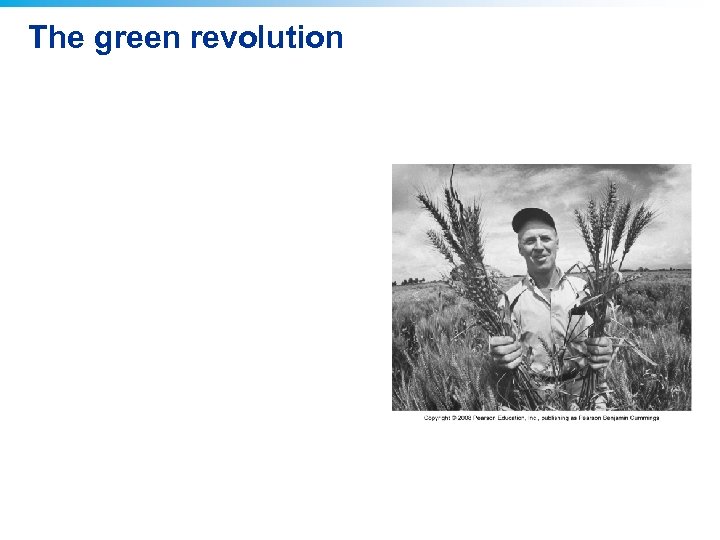 The green revolution 