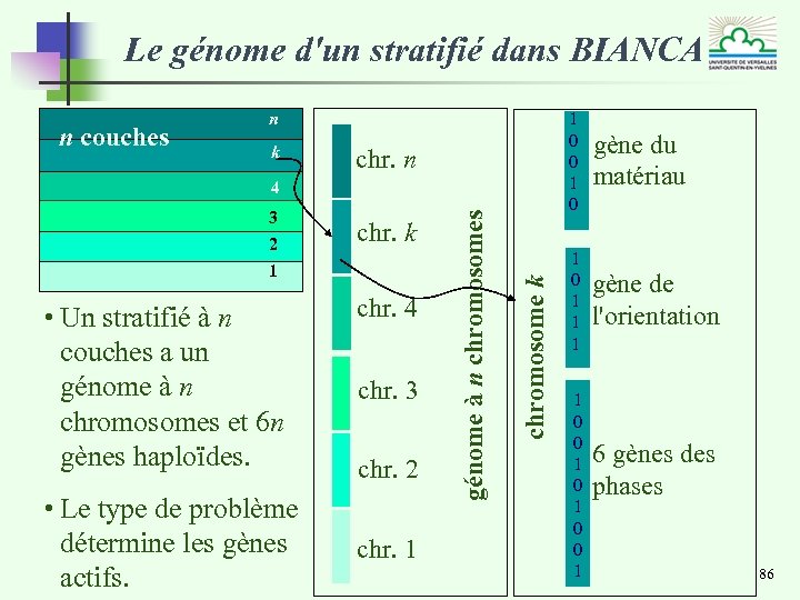 Le génome d'un stratifié dans BIANCA n couches n k 1 0 0 1