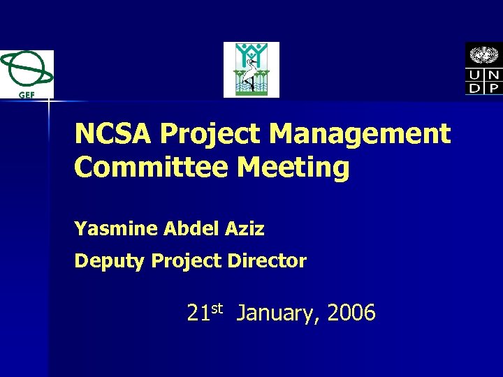 NCSA Project Management Committee Meeting Yasmine Abdel Aziz Deputy Project Director 21 st January,