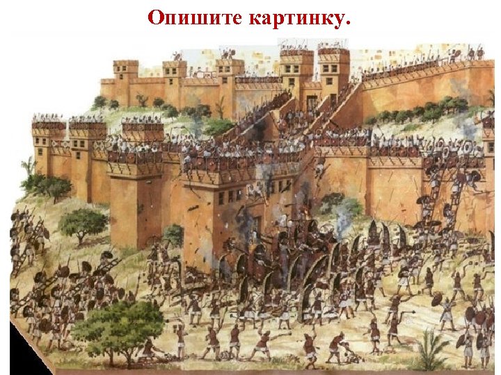 Опишите картинку. 