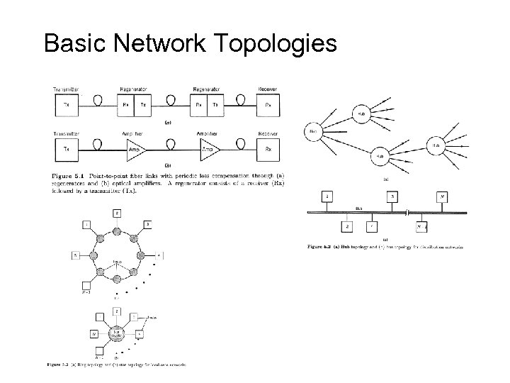 Basic Network Topologies 