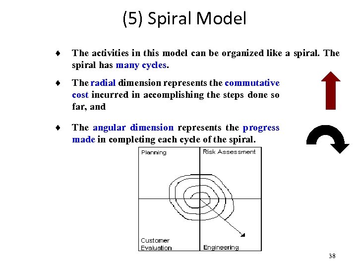 (5) Spiral Model ¨ The activities in this model can be organized like a