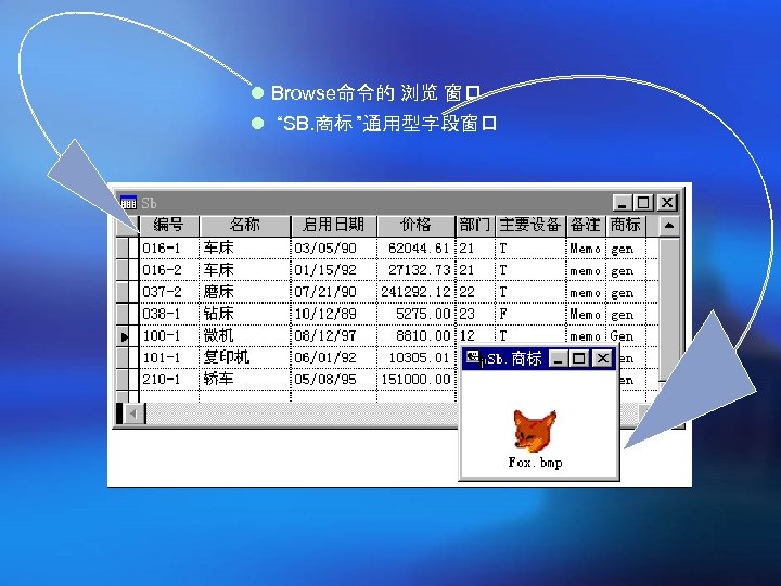 l Browse命令的 浏览 窗口 l “SB. 商标 ”通用型字段窗口 