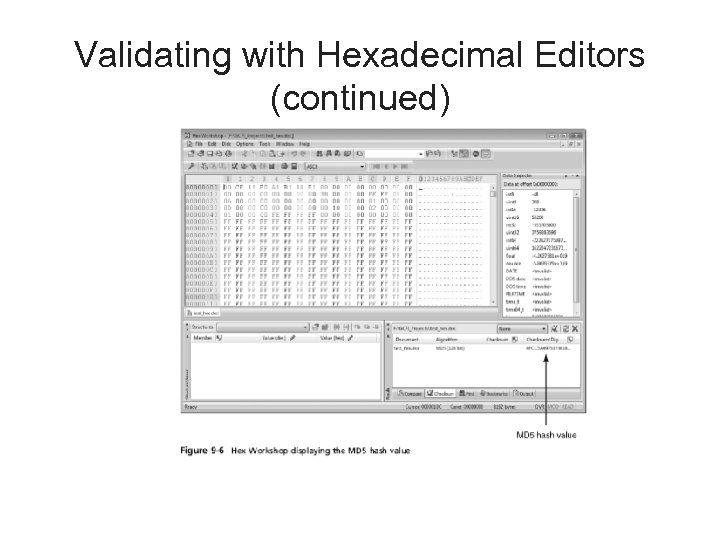 Validating with Hexadecimal Editors (continued) 