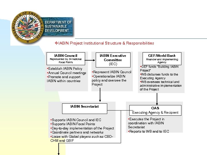 v. IABIN Project Institutional Structure & Responsibilities IABIN Council • Establish IABIN Policy •