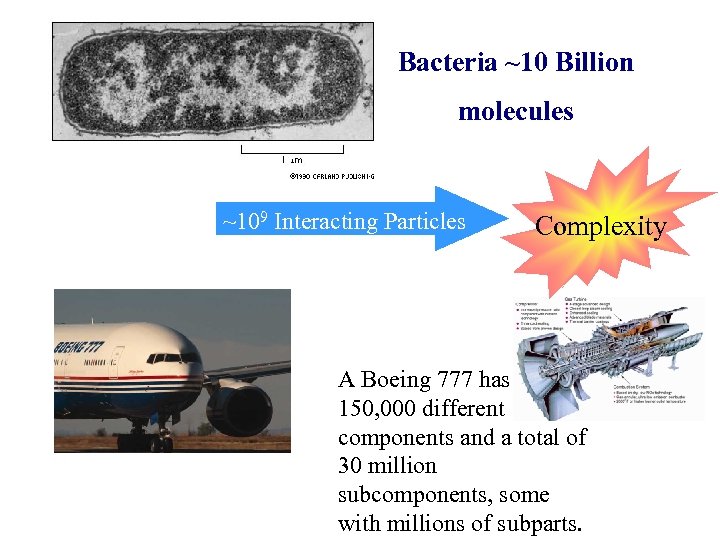 Bacteria ~10 Billion molecules ~109 Interacting Particles Complexity A Boeing 777 has 150, 000