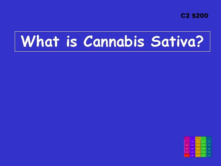 C 2 $200 What is Cannabis Sativa? 