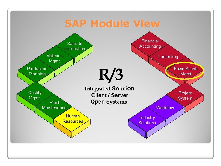 SAP Module View Financial Accounting Sales & Distribution Materials Mgmt. R/3 Production Planning Quality