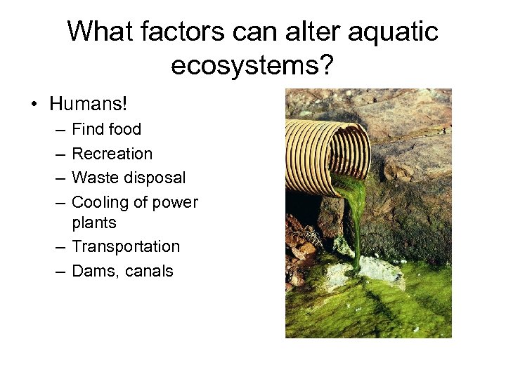 What factors can alter aquatic ecosystems? • Humans! – – Find food Recreation Waste