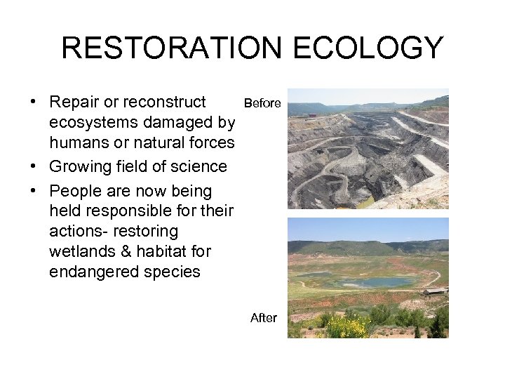 RESTORATION ECOLOGY • Repair or reconstruct ecosystems damaged by humans or natural forces •