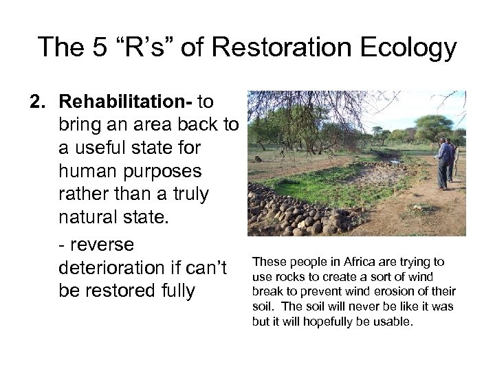The 5 “R’s” of Restoration Ecology 2. Rehabilitation- to bring an area back to