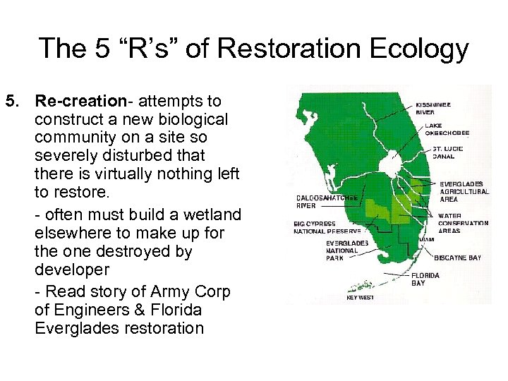 The 5 “R’s” of Restoration Ecology 5. Re-creation- attempts to construct a new biological