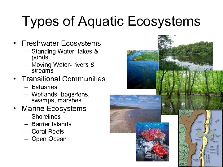 Types of Aquatic Ecosystems • Freshwater Ecosystems – Standing Water- lakes & ponds –