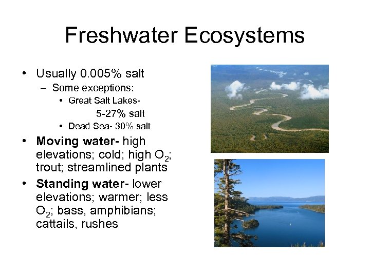 Freshwater Ecosystems • Usually 0. 005% salt – Some exceptions: • Great Salt Lakes-