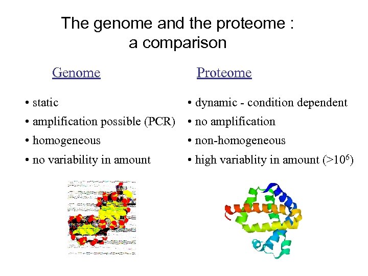 The genome and the proteome : a comparison Genome • static Proteome • dynamic