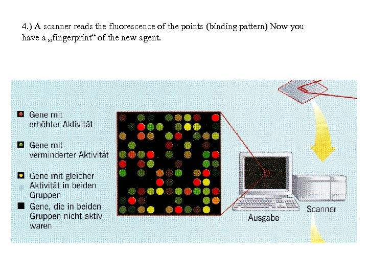 4. ) A scanner reads the fluorescence of the points (binding pattern) Now you