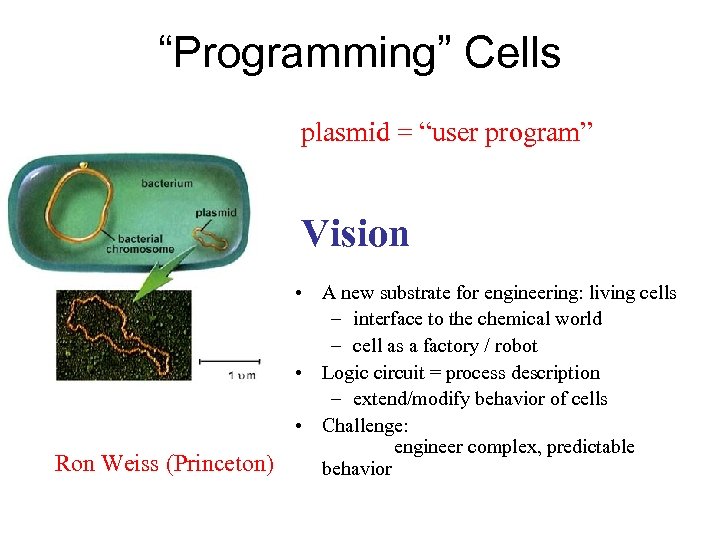“Programming” Cells plasmid = “user program” Vision Ron Weiss (Princeton) • A new substrate