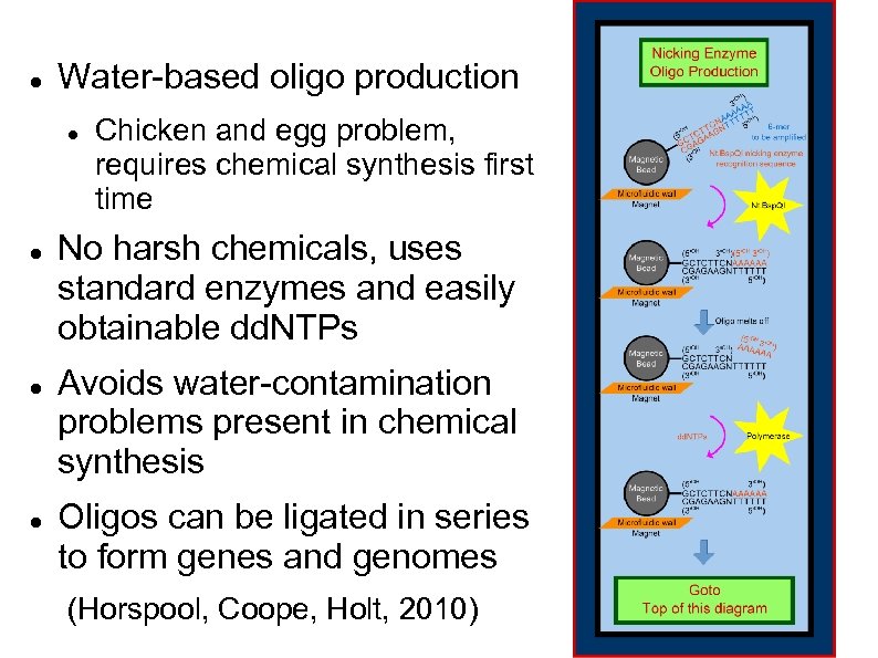  Water-based oligo production Chicken and egg problem, requires chemical synthesis first time No