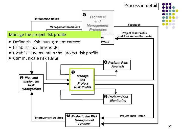 Process in detail Manage the project risk profile • Define the risk management context