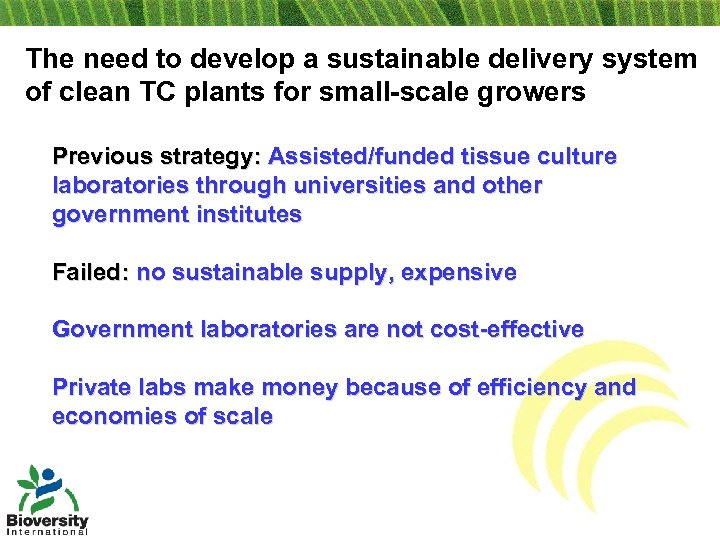 The need to develop a sustainable delivery system of clean TC plants for small-scale