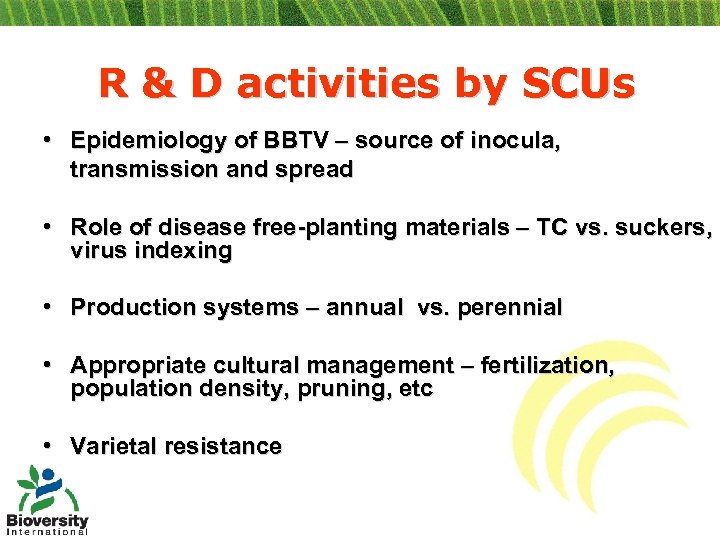 R & D activities by SCUs • Epidemiology of BBTV – source of inocula,
