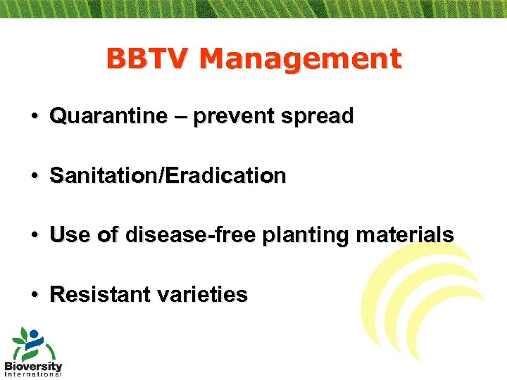 BBTV Management • Quarantine – prevent spread • Sanitation/Eradication • Use of disease-free planting