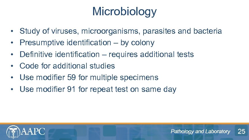 Microbiology • • • Study of viruses, microorganisms, parasites and bacteria Presumptive identification –