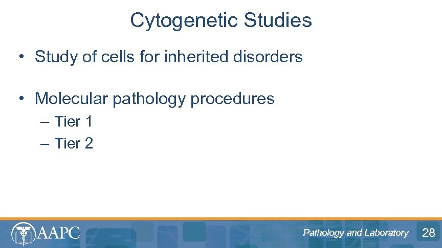 Cytogenetic Studies • Study of cells for inherited disorders • Molecular pathology procedures –