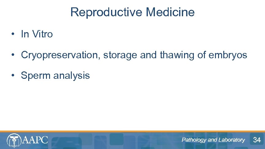 Reproductive Medicine • In Vitro • Cryopreservation, storage and thawing of embryos • Sperm