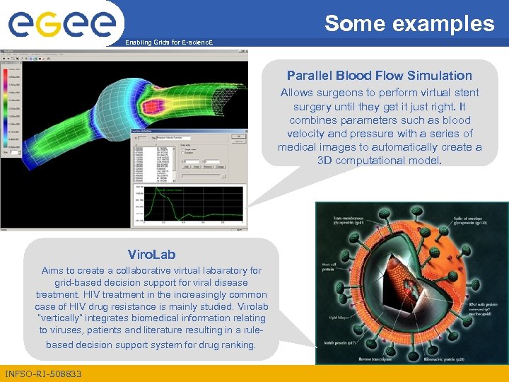Some examples Enabling Grids for E-scienc. E Parallel Blood Flow Simulation Allows surgeons to
