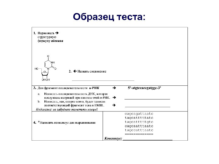 Образец теста