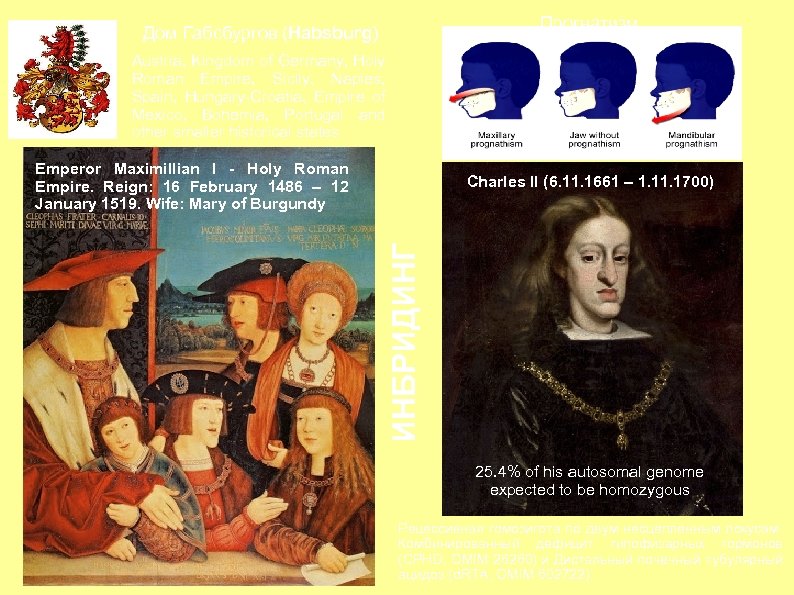 Прогнатизм Дом Габсбургов (Habsburg) Austria, Kingdom of Germany, Holy Roman Empire, Sicily, Naples, Spain,