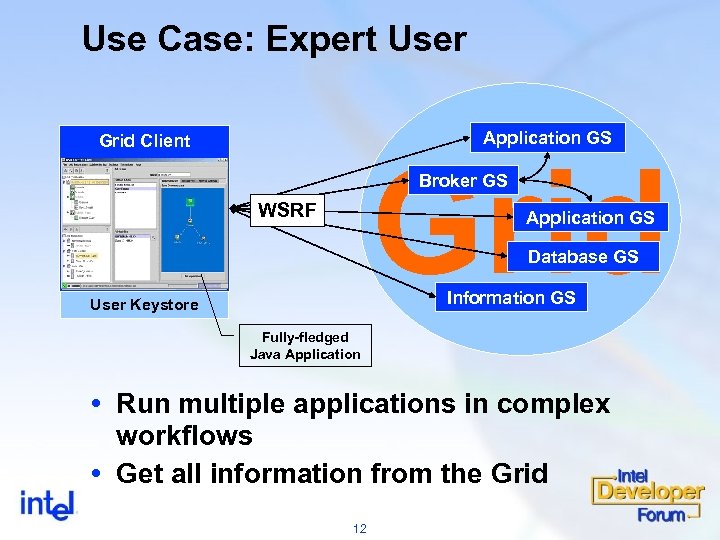 Use Case: Expert User Application GS Grid Client Grid Broker GS WSRF Application GS