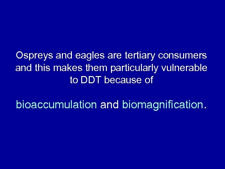 Ospreys and eagles are tertiary consumers and this makes them particularly vulnerable to DDT