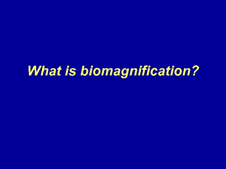 What is biomagnification? 