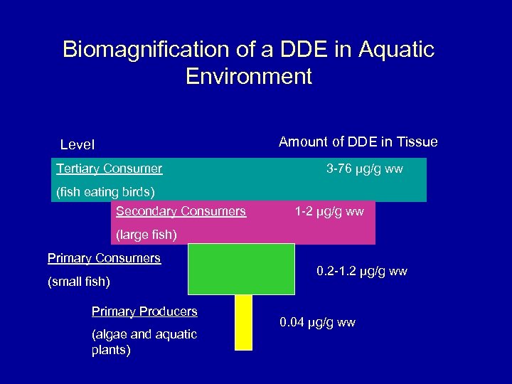 Biomagnification of a DDE in Aquatic Environment Amount of DDE in Tissue Level Tertiary