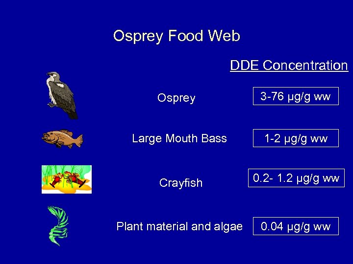 Osprey Food Web DDE Concentration Osprey 3 -76 µg/g ww Large Mouth Bass 1