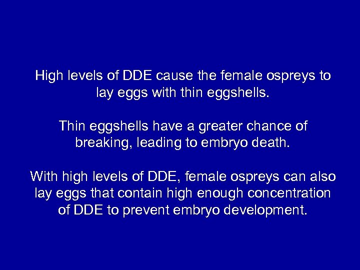 High levels of DDE cause the female ospreys to lay eggs with thin eggshells.