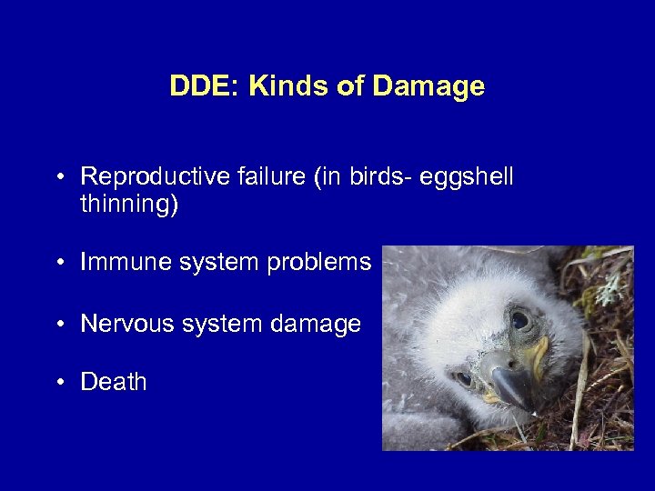 DDE: Kinds of Damage • Reproductive failure (in birds- eggshell thinning) • Immune system