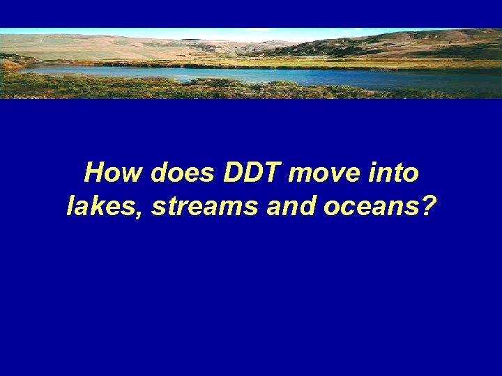 How does DDT move into lakes, streams and oceans? 