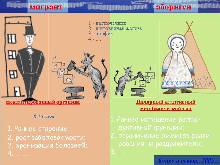 мигрант абориген 1 - надпочечник 2 - щитовидная железа 3 - эпифиз 4 -.