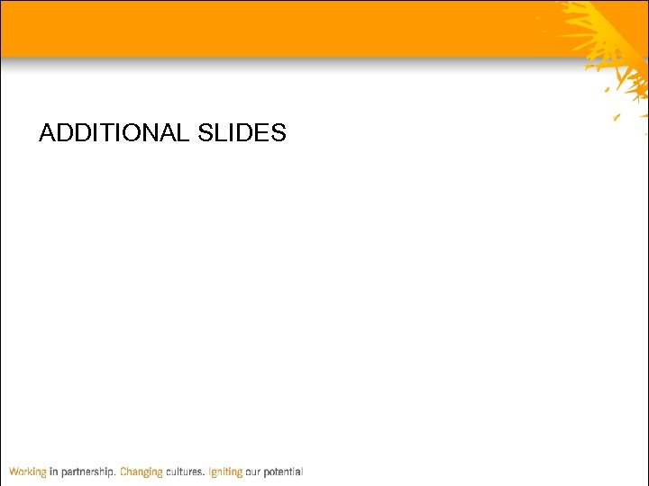 ADDITIONAL SLIDES 