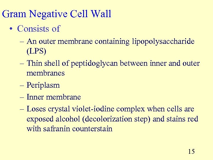 Gram Negative Cell Wall • Consists of – An outer membrane containing lipopolysaccharide (LPS)