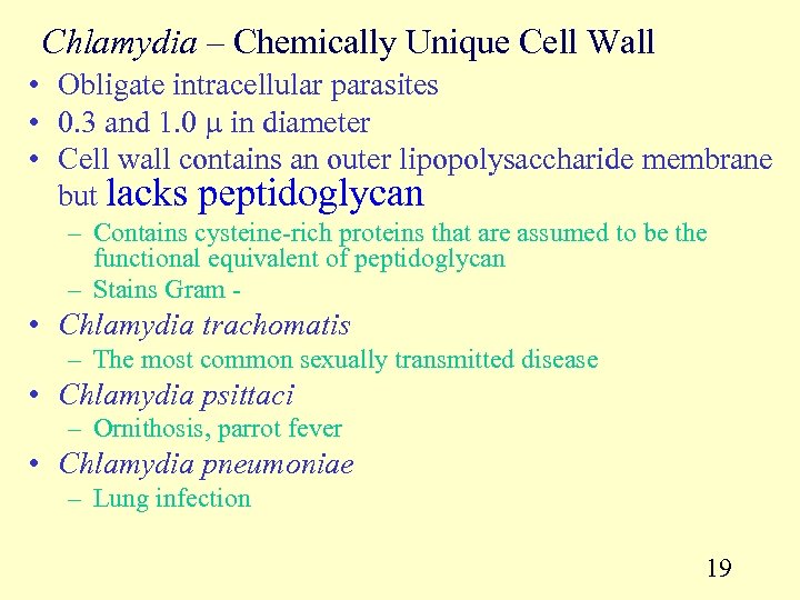 Chlamydia – Chemically Unique Cell Wall • Obligate intracellular parasites • 0. 3 and