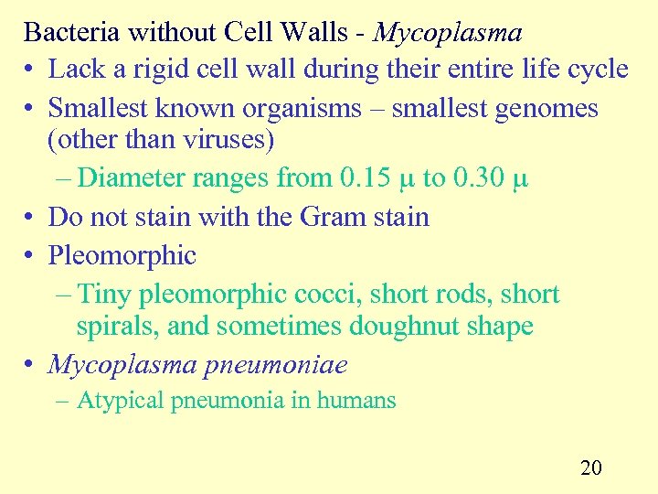 Bacteria without Cell Walls - Mycoplasma • Lack a rigid cell wall during their